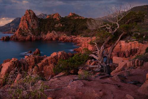 spiaggia di coccorrocci sardegna