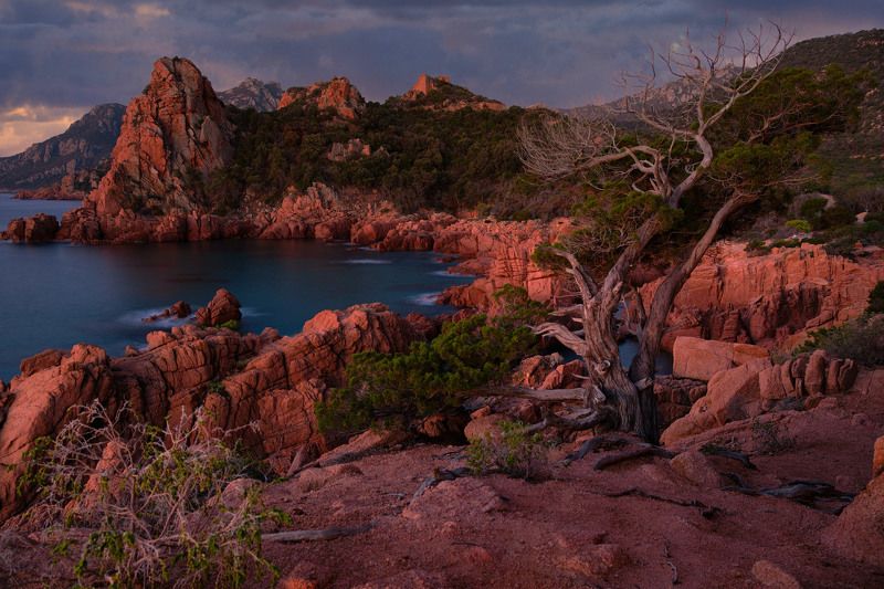 spiaggia di coccorrocci sardegna фото превью