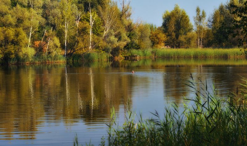 ... предосенний заплыв. фото превью