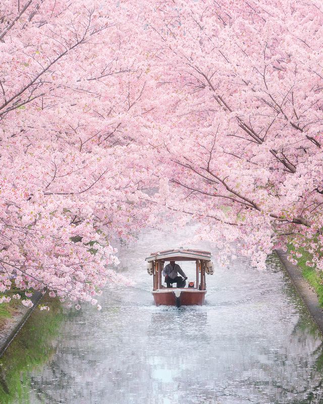 In Japan