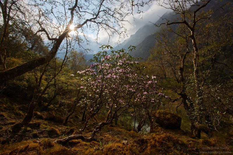 пейзажемагьё, пейзаж-как-виденье Встреча с Чудесным … фото превью