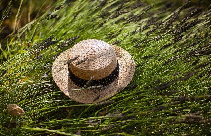 *** фото превью