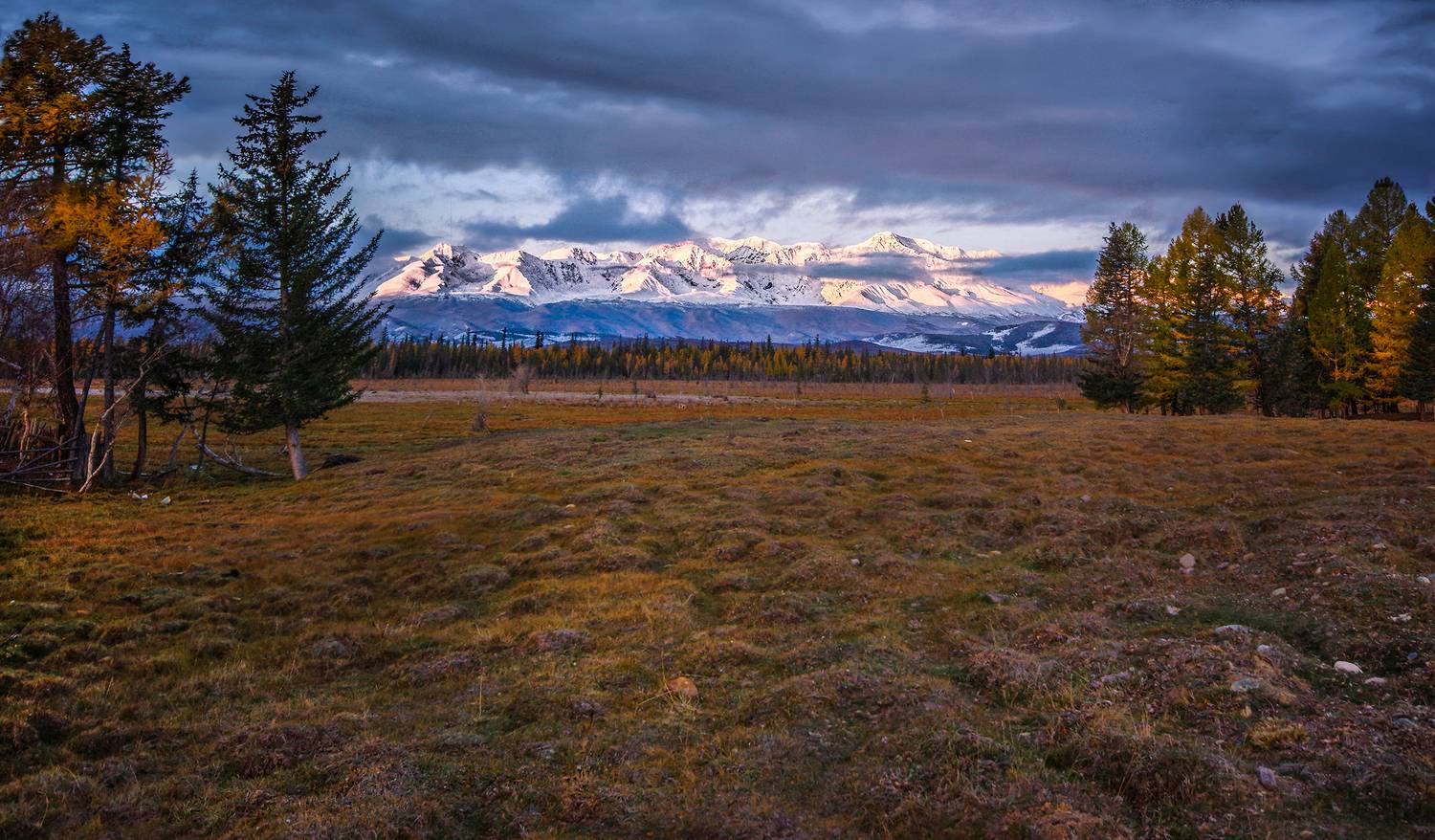 алтай, горы, утро, рассвет, северо-чуйский, хребет, осень, Чичкин Валерий