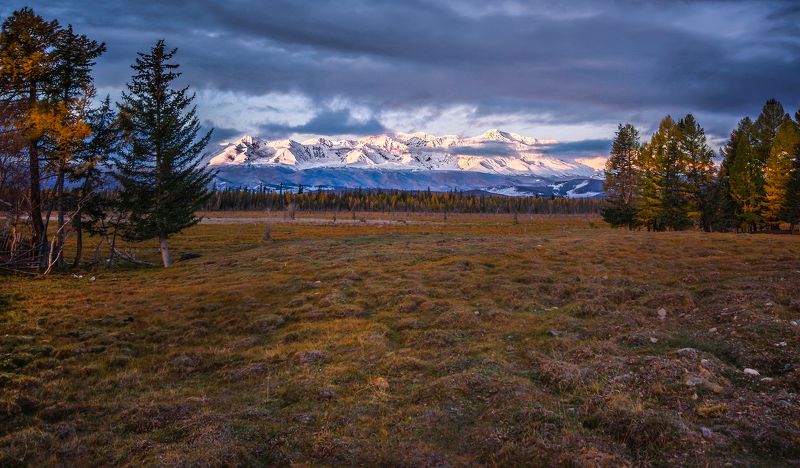 алтай, горы, утро, рассвет, северо-чуйский, хребет, осень Рассвет в горах фото превью