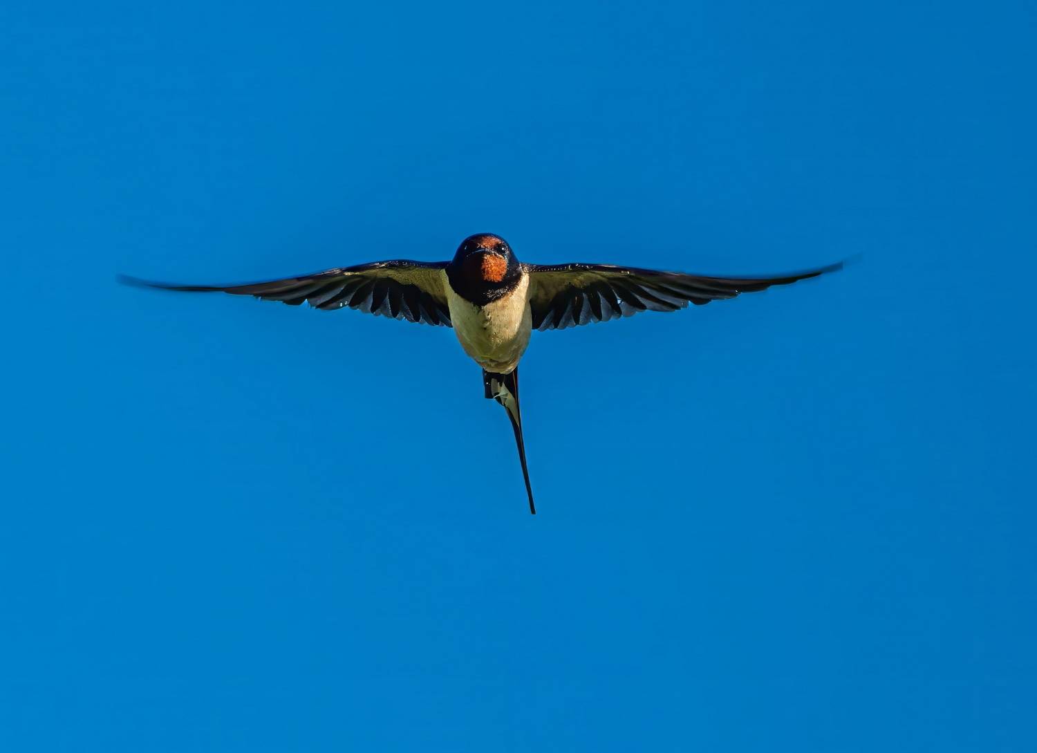 , Дэм Константин