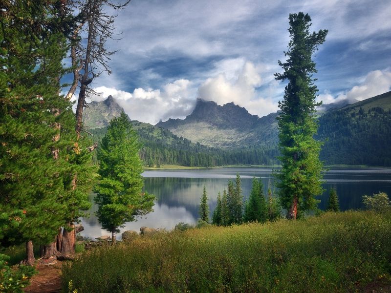 У озера фото превью