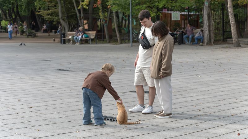 Кот. фото превью