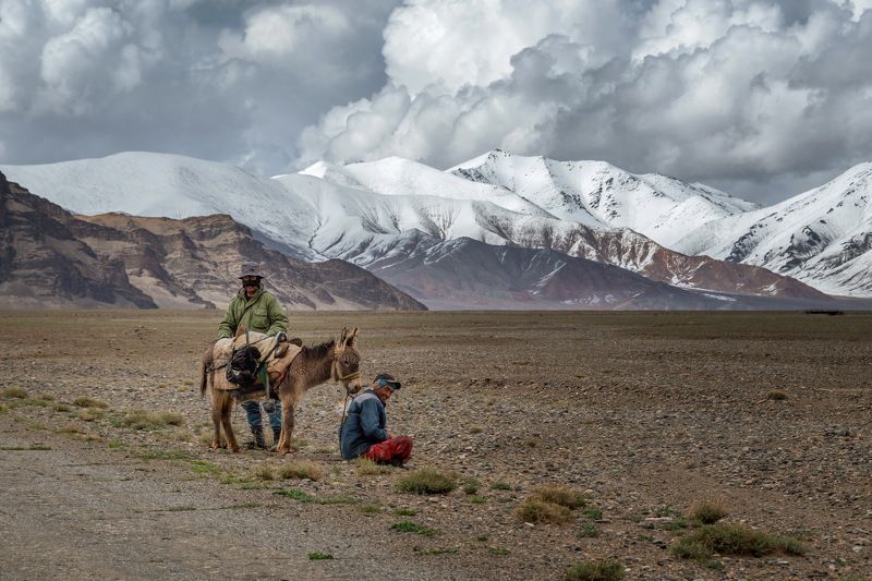 таджикистан, памир, памирское нагорье, памирский тракт, люди, животные, дорога, горы, облака Жители Памира фото превью