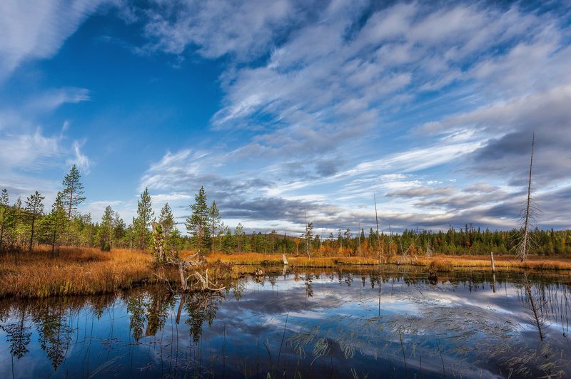 Осенняя меланхолия фото превью