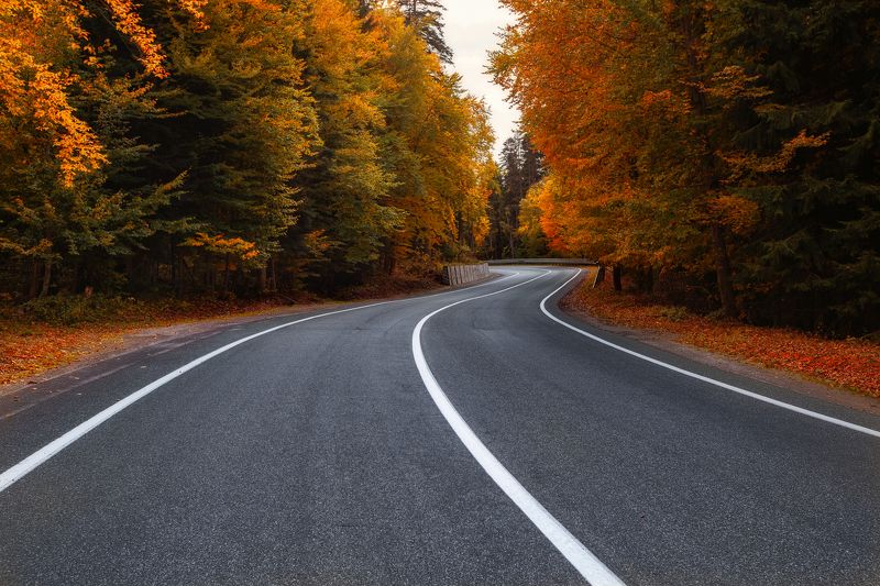осень , домбай,пейзаж,карачаево-черкесия,пхия Осень... фото превью