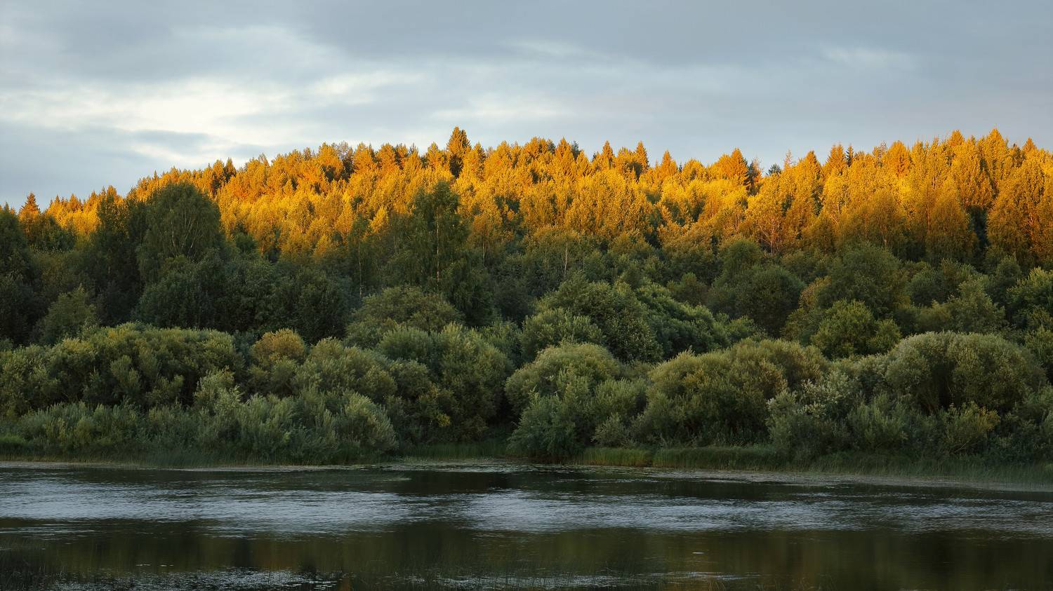 вечер, природа, закат, река, лес, Титов Александр