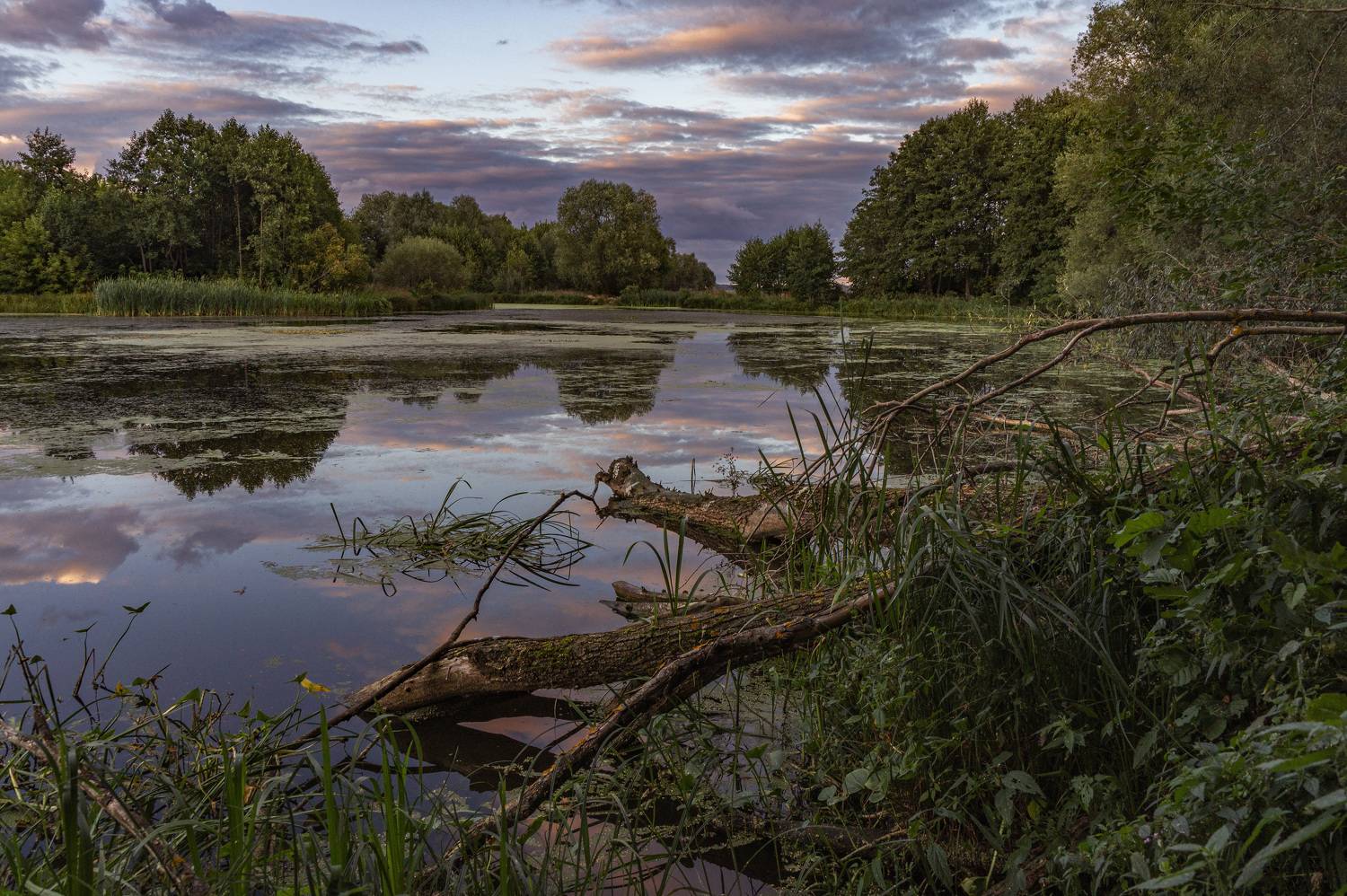 , Шитов Александр