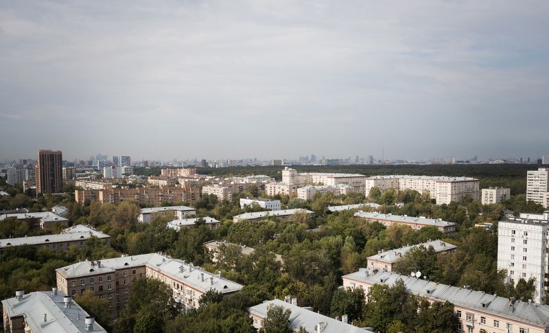 P149 фото превью