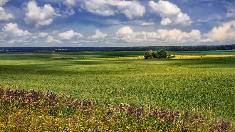 Краски жизни,Беларусь, природа Краски жизни фото превью