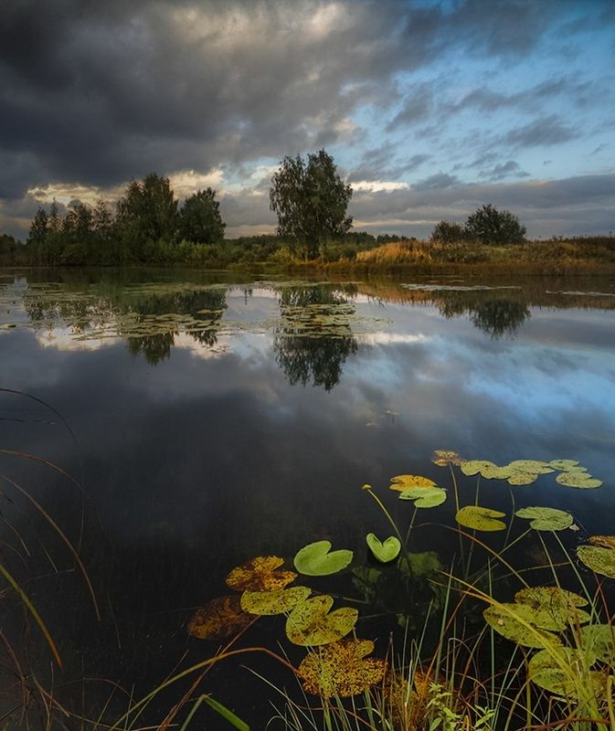 пейзаж, кострома, костромская область Осеннее небо фото превью
