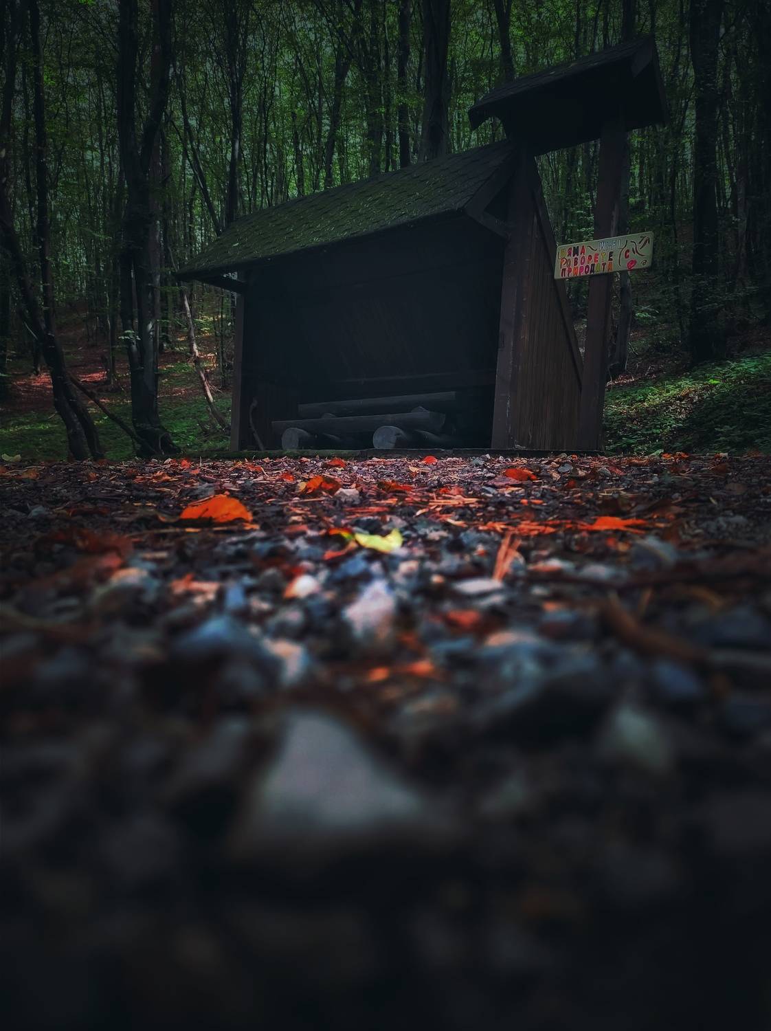 , Юлияна Стоянова