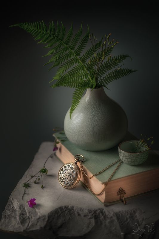 папоротник, часы, ваза, книга  фото превью
