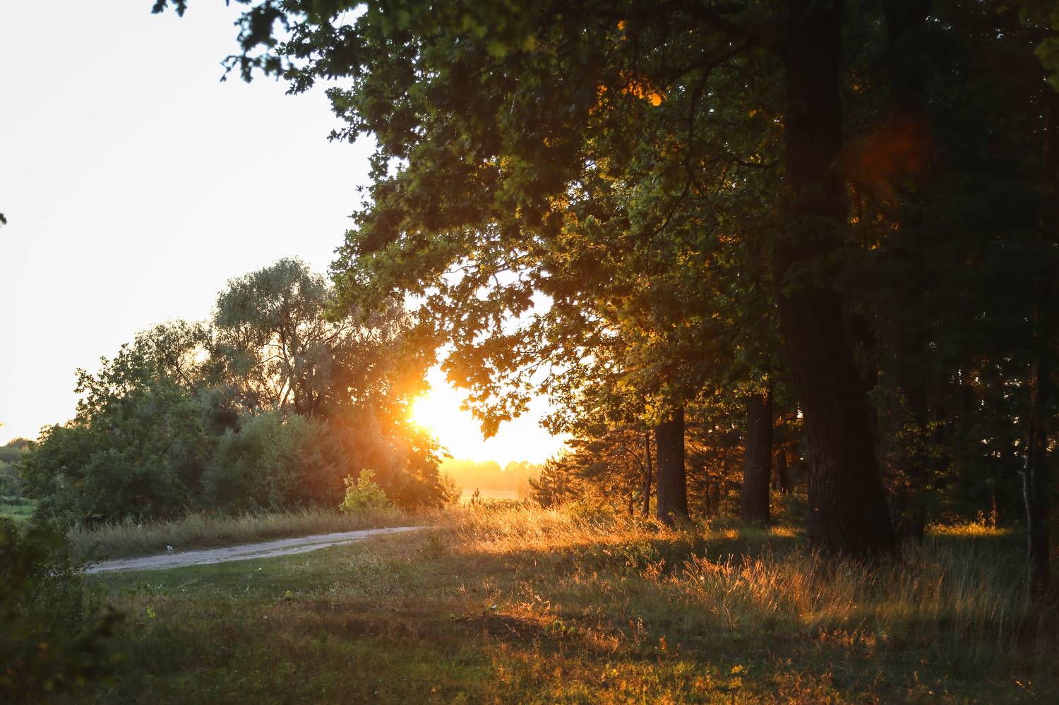 Владимир, природа России, Кормашова Татьяна