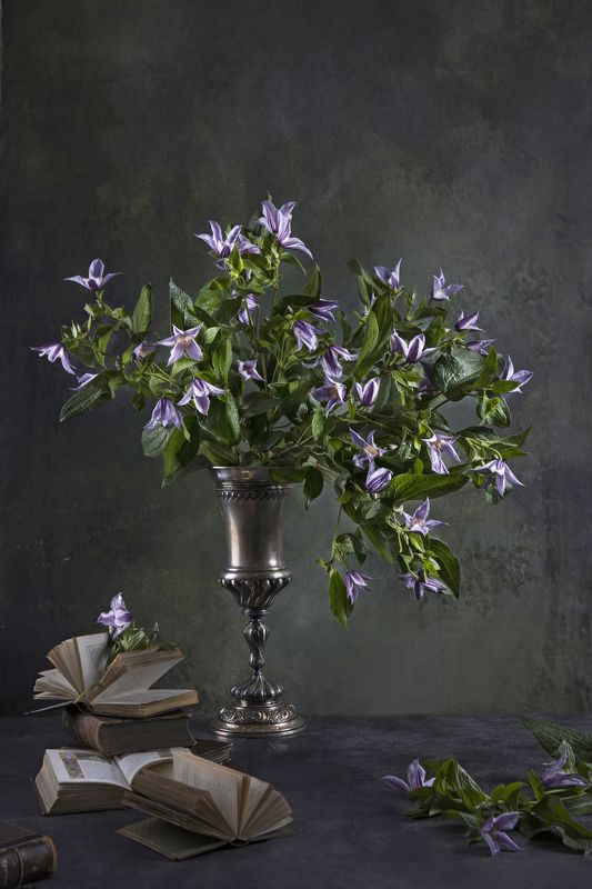 Клематисы фото превью