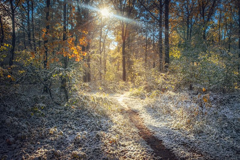 Ранний снег фото превью
