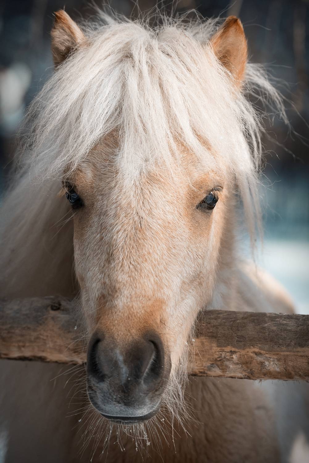 , Рагинская Ольга