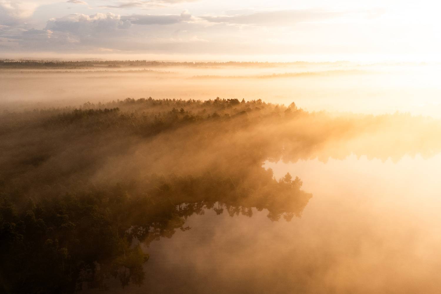 эстония, болото, утро, туман, Oksana Truktanova