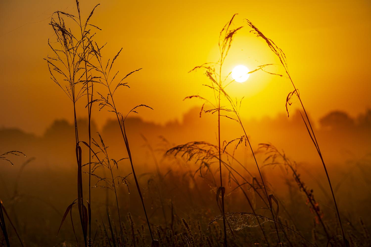 , Волоцков Александр