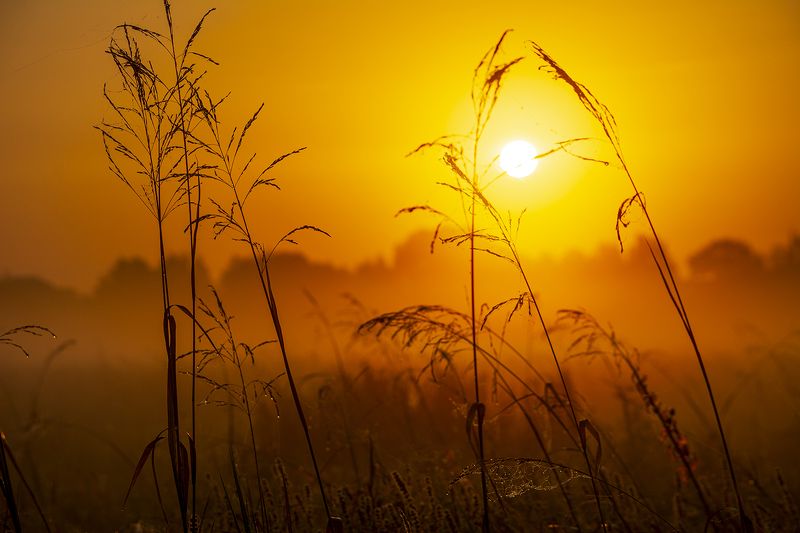 Тишина фото превью