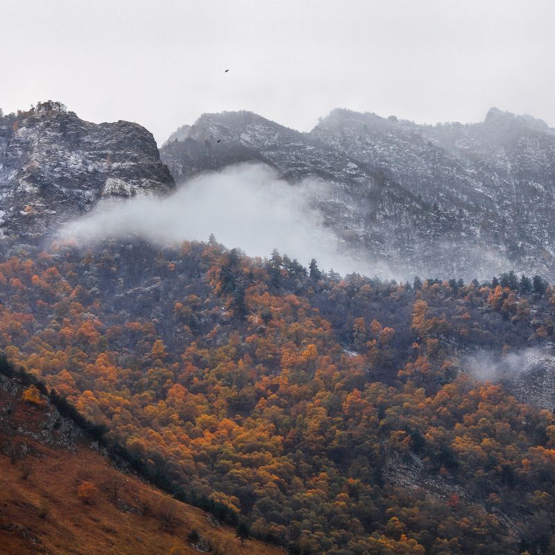 Двое фото превью