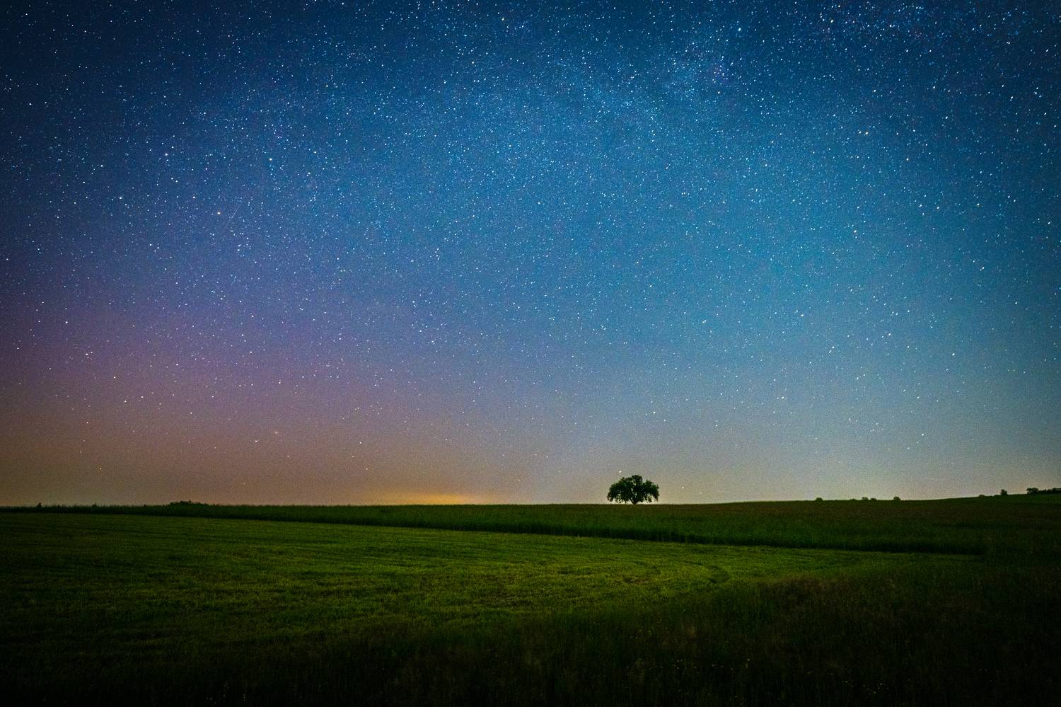 , Zavaydin Zavaydinov