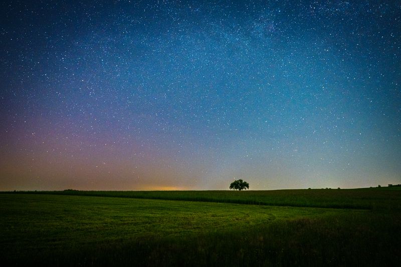 Сам фото превью
