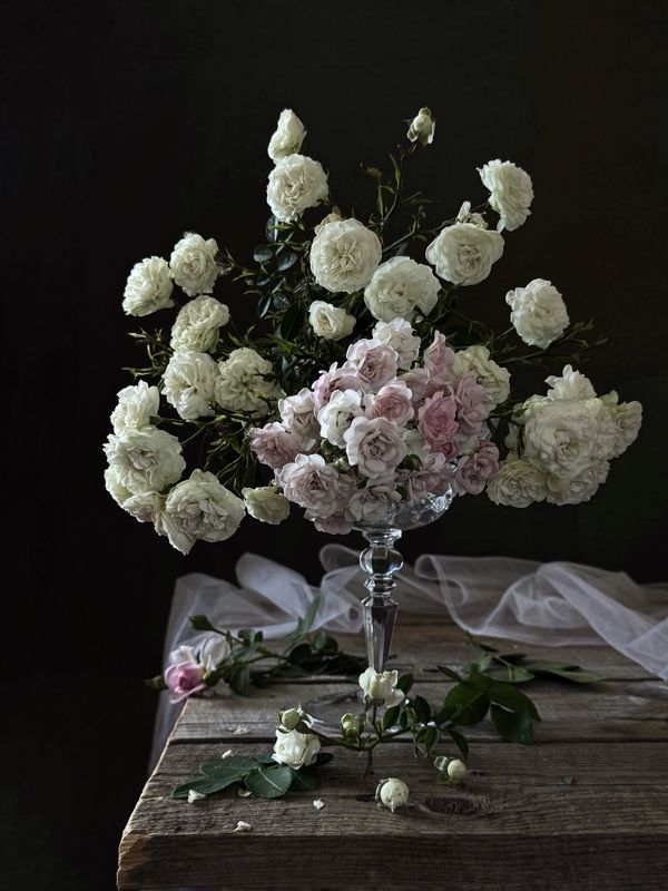 Нежность фото превью