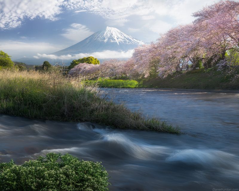 In Japan
