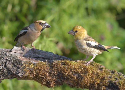 Отцы и дети