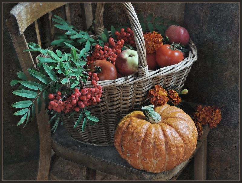 Дары ушедшего лета фото превью