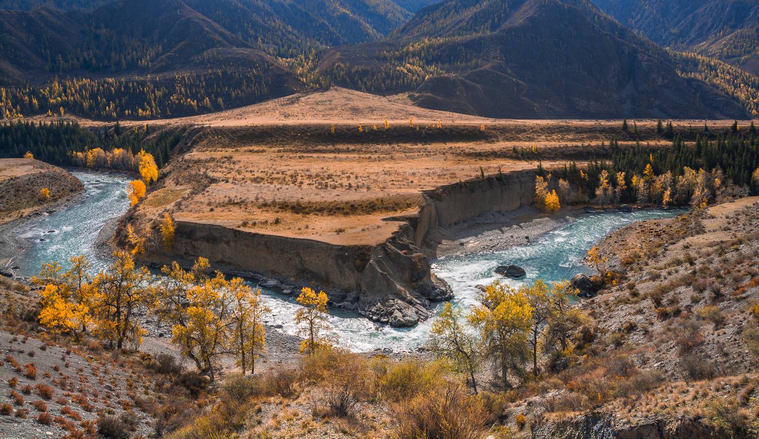 россия, горный алтай, река чуя, осень, Андрей Поляков