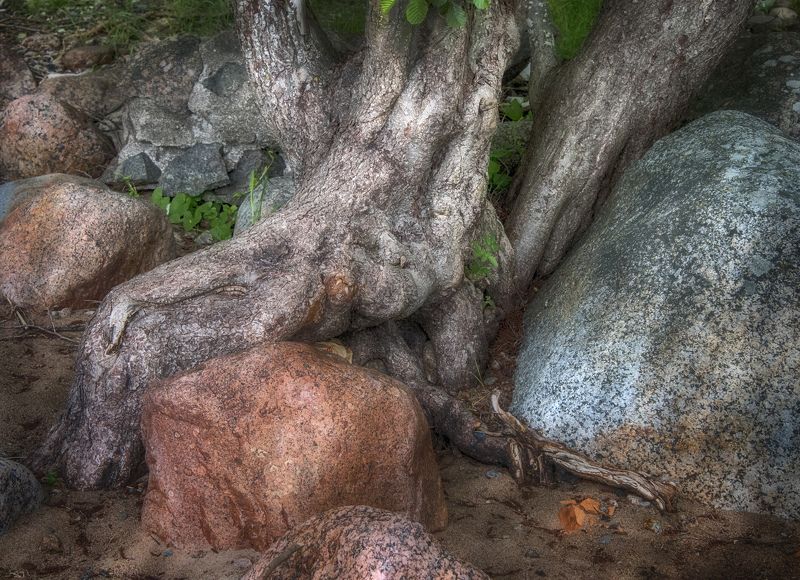 *** фото превью