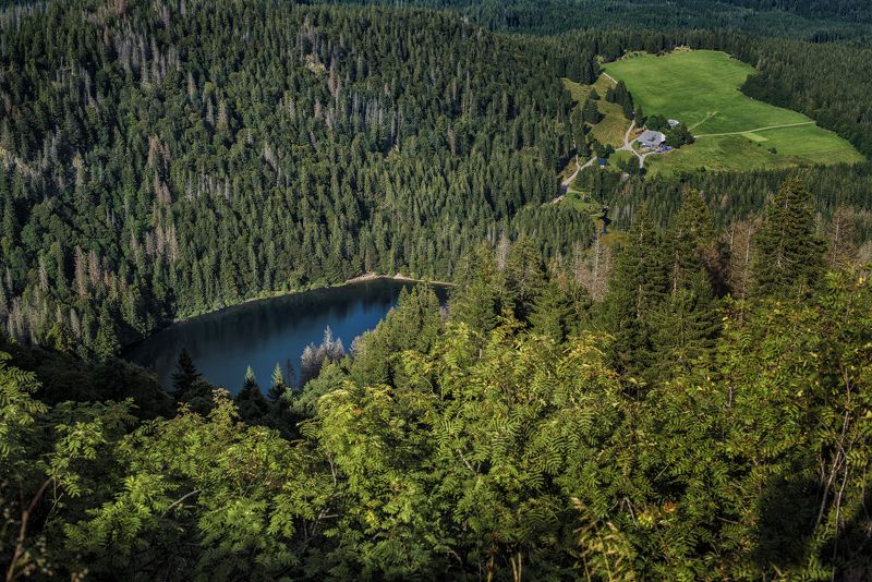 Фельдберг(самая высокая гора Шварцвальда),высота над уровнем моря 1277м фото превью