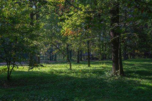 Последние летние деньки 2024