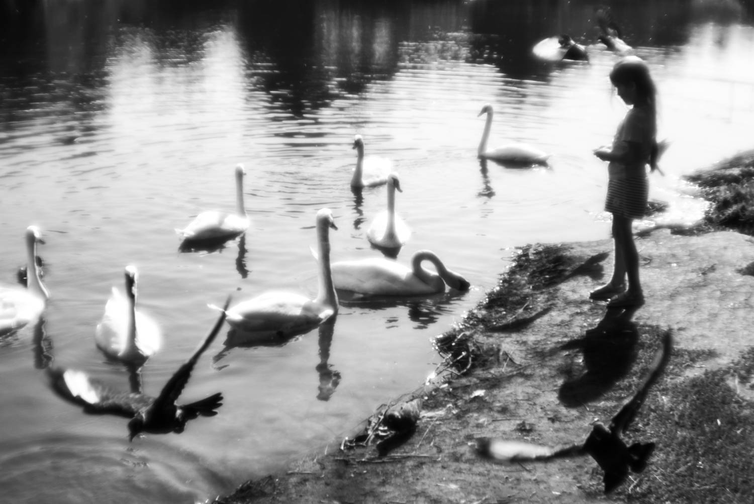 , Виктор Черкасов