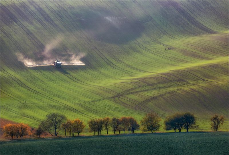 южная моравия,пейзаж,линии,south moravian,lines,свет,czech,осень,чехия,landscapes,косули Atterraggio фото превью