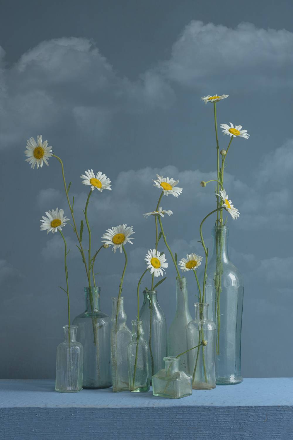 , Вихрова Юлия