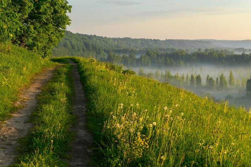 Утро в долине... фото превью