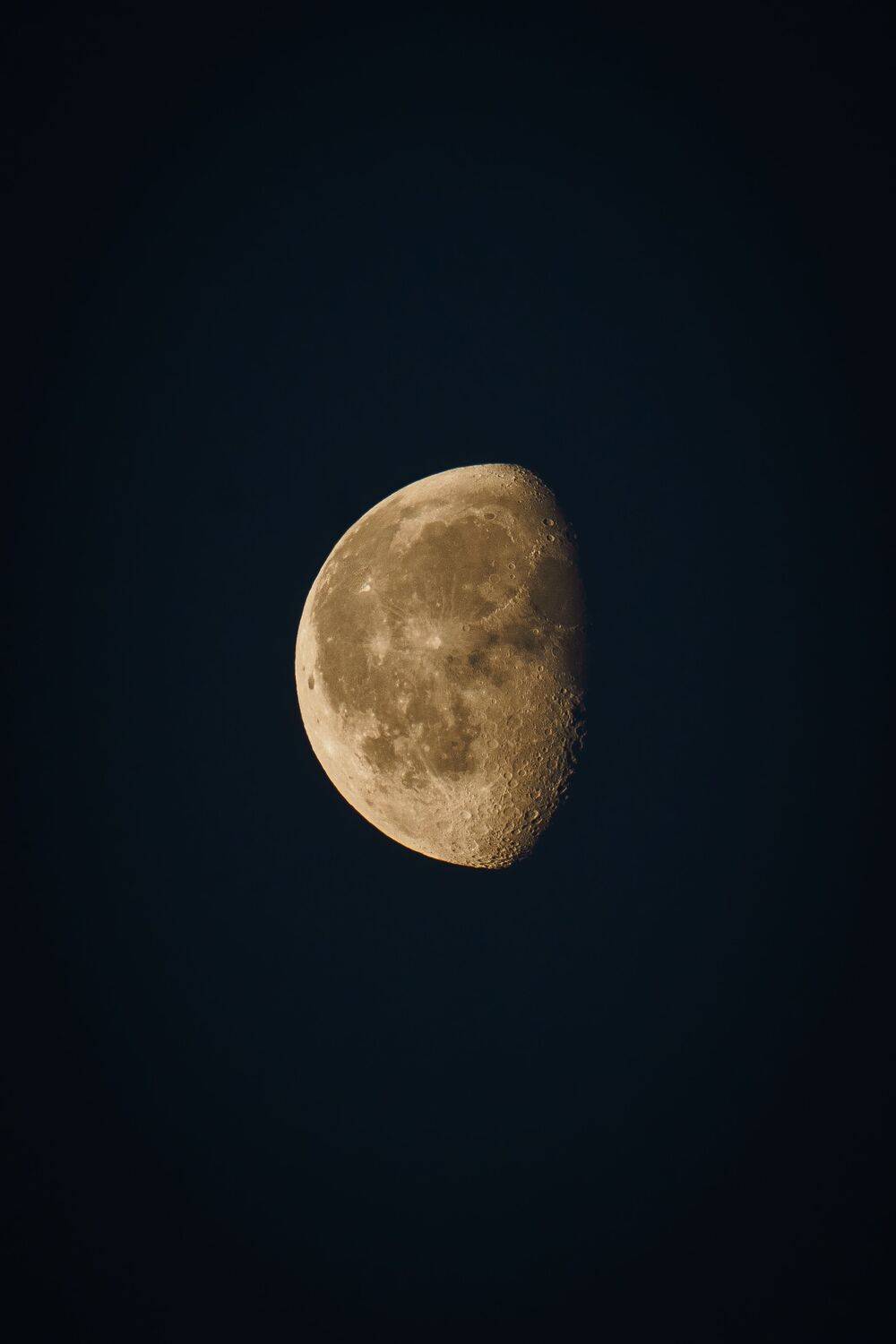 , Илья Марченко