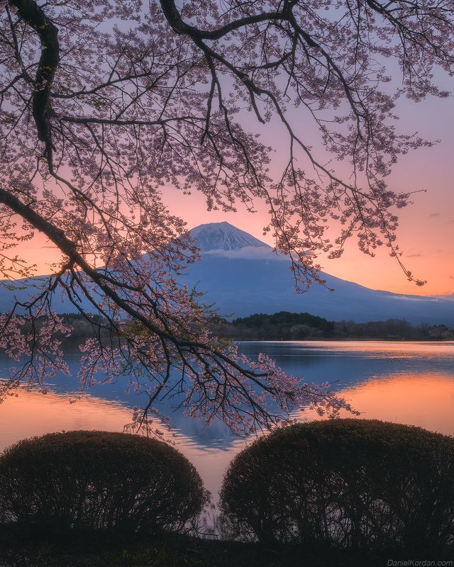 In Japan