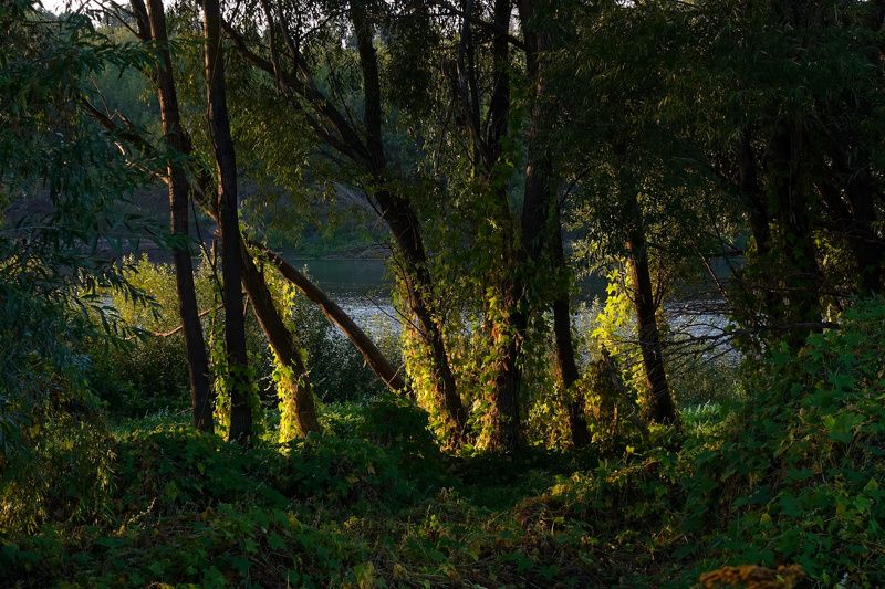 Сомнение фото превью