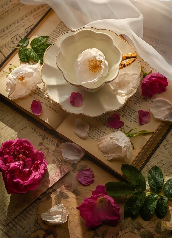 Перед закатом фото превью