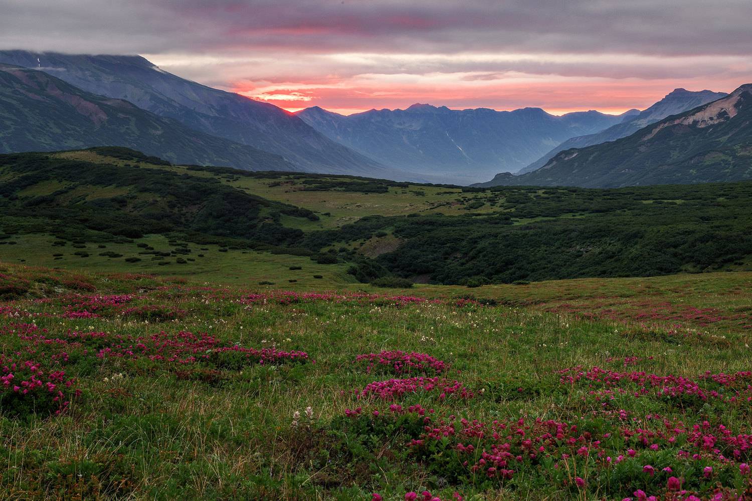 камчатка, рассвет, велючинский перевал, Морозов Сергей