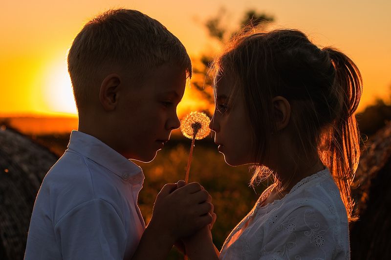Одуванчик фото превью