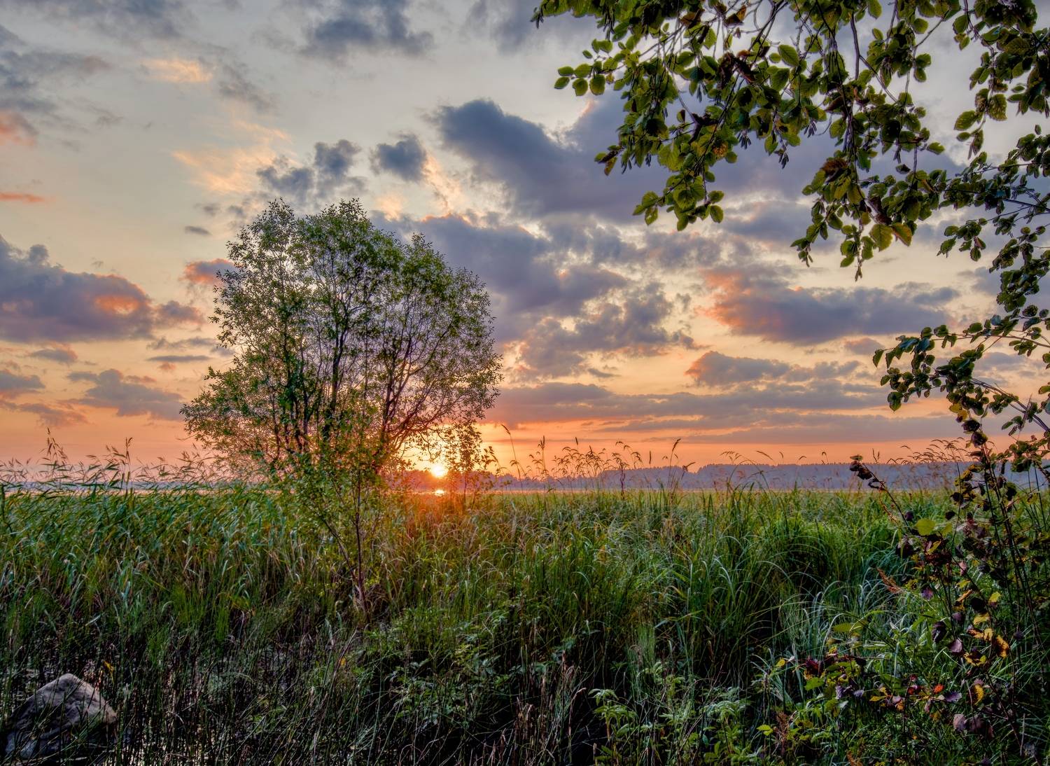 утро солнце облако вода озеро камыш штиль отражение небо, Шишпанов Игорь
